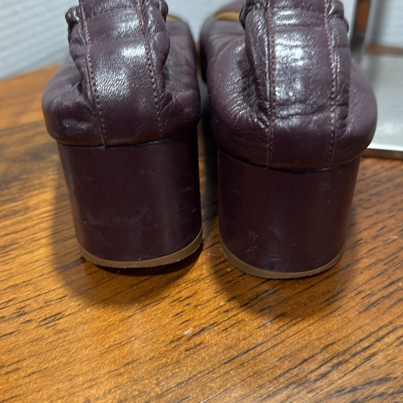Everlane Women's The Italian Leather Burgundy The Day Heel