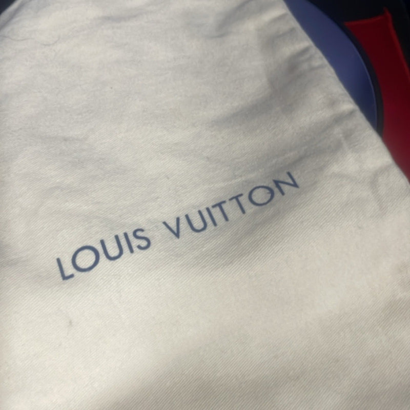 Louis Vuitton dustbag