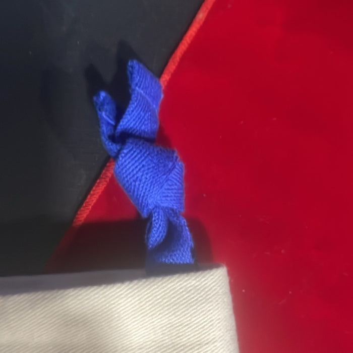 Louis Vuitton med size dustbag