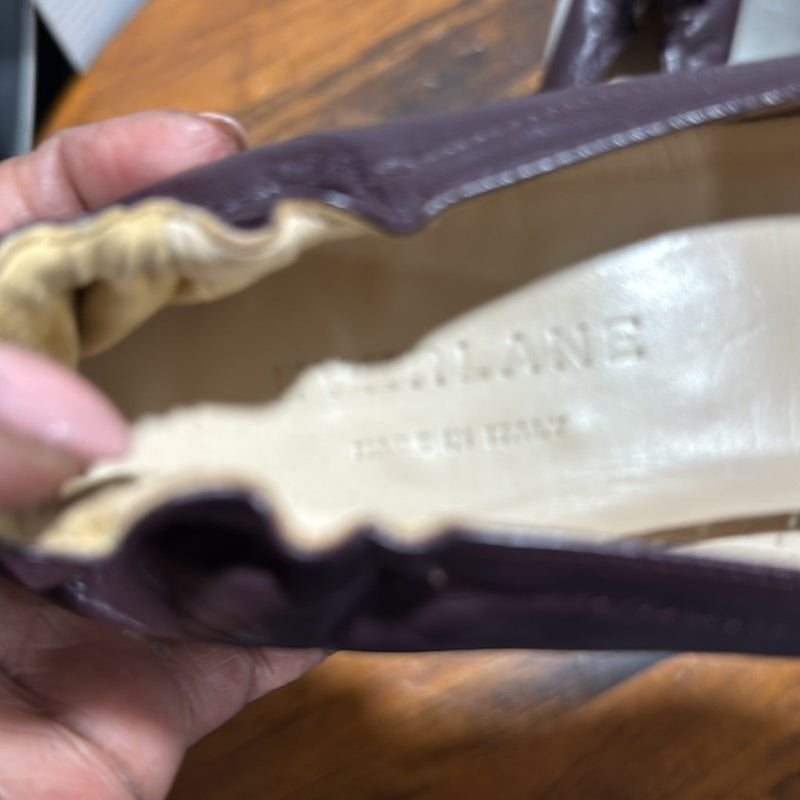 Everlane Women's The Italian Leather Burgundy The Day Heel