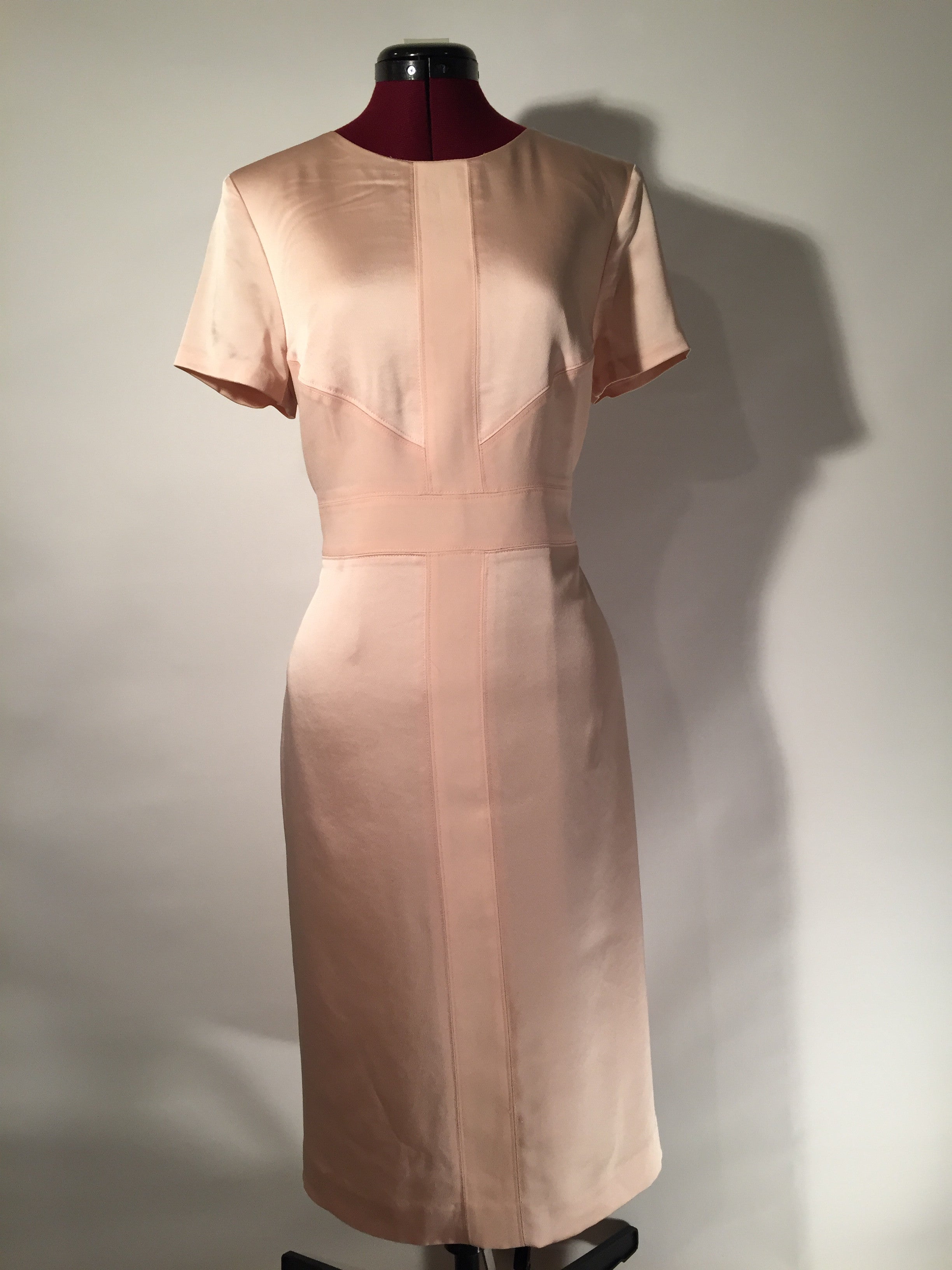 Ann Taylor Blush Silk Dress