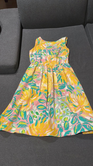 Lilly Pulitzer Eryn Dress - Lilly’s Pink Lilet size 4