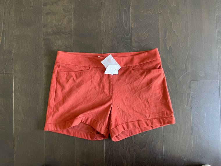 Eva Mendez Size 8 Cuffed Brown/Orange Shorts/Burnt Sienna