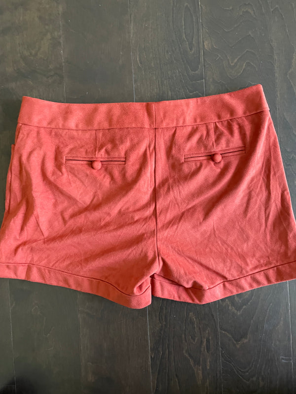 Eva Mendez Size 8 Cuffed Brown/Orange Shorts/Burnt Sienna